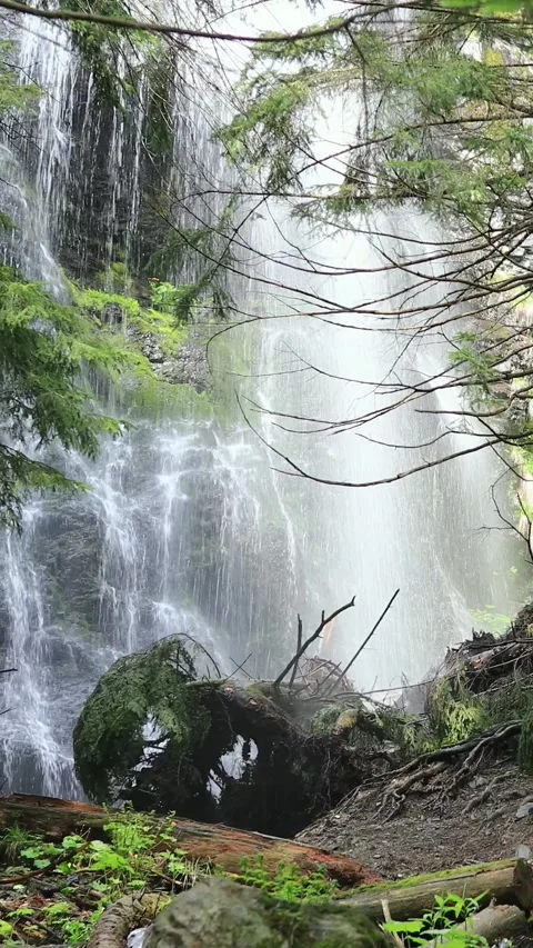 Picturesque Waterfall in a Pristine Forest Environment. Pan Stock Footage 286200124