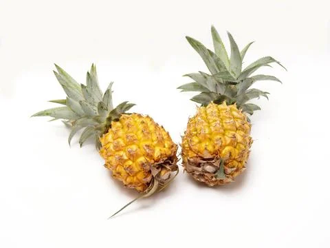 Picure of Pineapple (Ananas comosus), a fruit that usually grow at tropical a Stock Photos