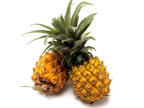 Picure of Pineapple (Ananas comosus), a fruit that usually grow at tropical a Foto stock