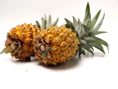 Picure of Pineapple (Ananas comosus), a fruit that usually grow at tropical a Stock Photos