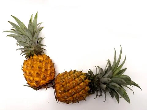 Picure of Pineapple (Ananas comosus), a fruit that usually grow at tropical a Stock Photos