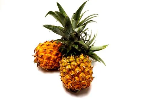 Picure of Pineapple (Ananas comosus), a fruit that usually grow at tropical a Stock Photos