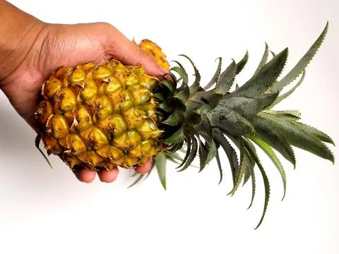 Picure of Pineapple (Ananas comosus), a fruit that usually grow at tropical a Stock Photos