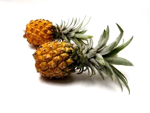 Picure of Pineapple (Ananas comosus), a fruit that usually grow at tropical a Stock Photos
