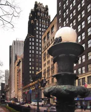 Pidgeon resting on a light post Stock Photos