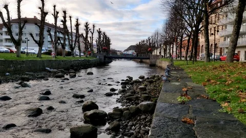 Pidgeons on River Bank Take Off Stock Footage 100102147