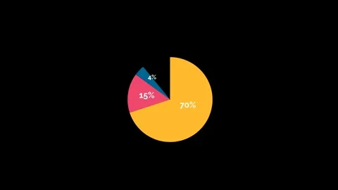 Pie Chart Animation for Market Share Analysis~1 Stock Footage 325331826