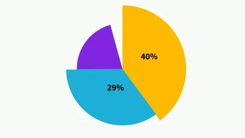 Pie Chart Animation on White Background Stock Footage 316713187
