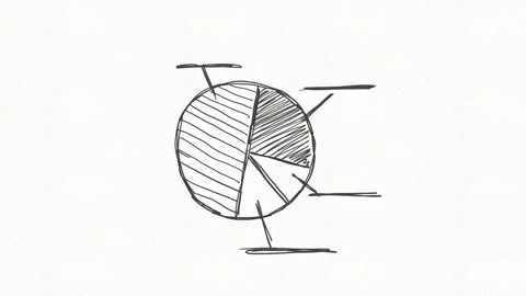 Pie Chart Data Analysis and Business Statistics Animation Stock Footage 341802241