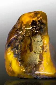 Piece of amber Stock Photos