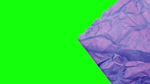 Piece Animated on Chroma Key for Compositing Video stock 346204767