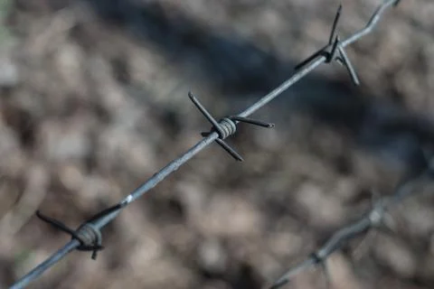 Piece of a barbed wire - small depth of sharpness 스톡 사진