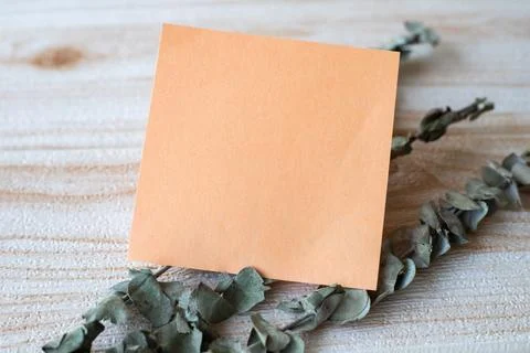 Piece Of Blank Square Note Surrounded By Laundry Clips Showing New Meaning... Stock Photos