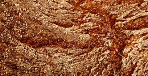 A piece of bread with a brown crust and a grainy texture Foto stock