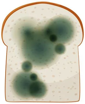 A piece of bread with mold Stock Illustration