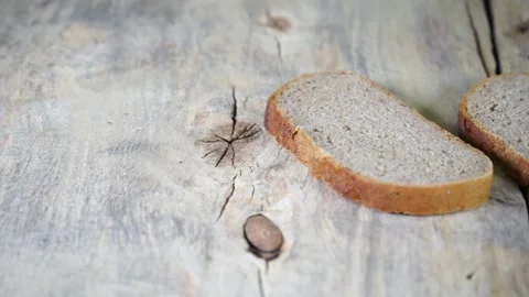 A piece of bread sandwich Stock Footage 132243533