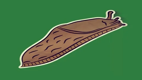 Piece of bread on sticker food close up knife brown tie isolated on green 스톡 동영상 336955282