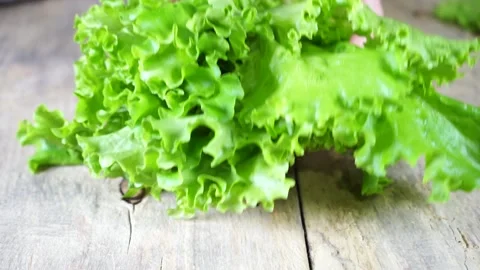 A piece of broccoli on a cutting board Stock Footage 130397146