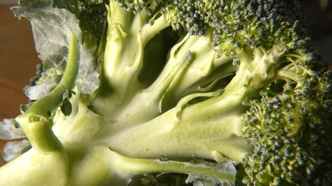 Piece of broccoli 動画素材 112824603