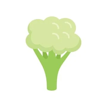 Piece brocoli icon flat vector. Cabbage food Ilustración de archivo