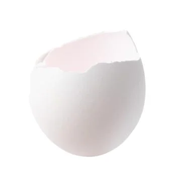 Piece of broken eggshell isolated on white Foto stock