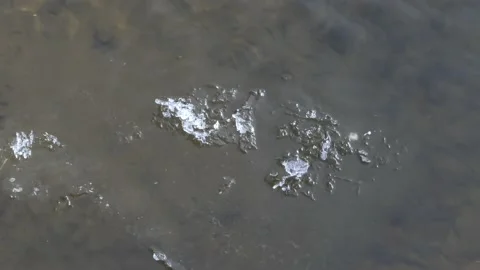Piece of broken ice floats down the river, ice floe floats on pond Stock Footage 229706531