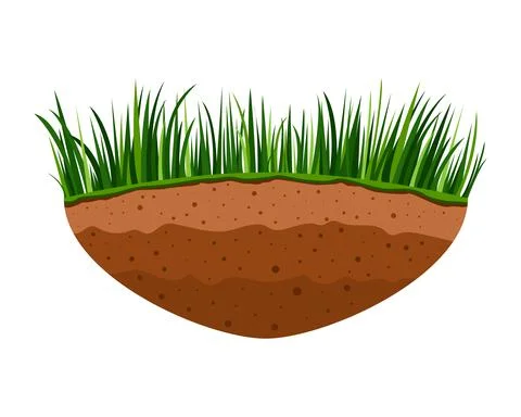 Piece brown earth with lawn. Vector illustration isolated on white. Stock Illustration