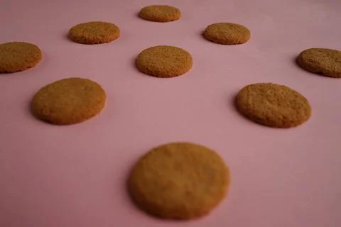 A piece of cake on a plate Stock Photos