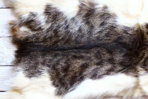 A piece of a cat fur Stock Photos