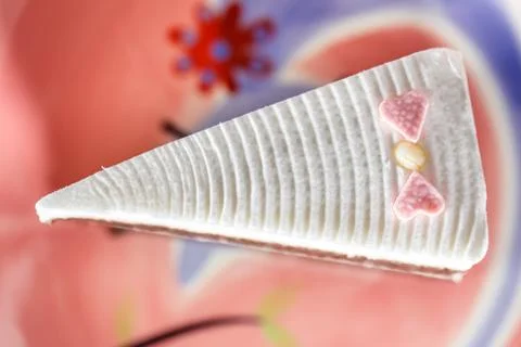 A piece of  chocolate cake Stock Photos