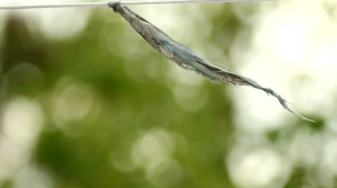 A Piece Of Cloth In The Wind Develops Video stock 37766527