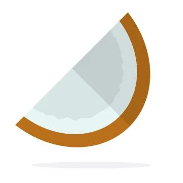 A piece of coconut vector flat isolated Stock Illustration