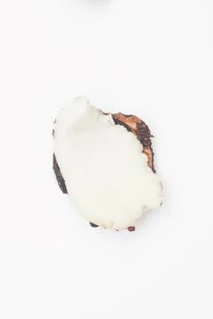 Piece of coconuts on white background isolate, copy space, flatley Stock Photos