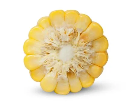Piece of corn cob an end view Stock Photos