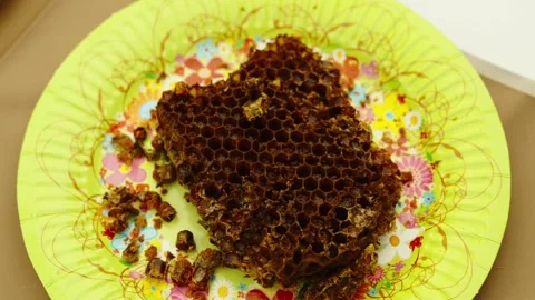 A piece of dark honeycomb with bee bread cells rests on a bright floral Stock Footage 339912071