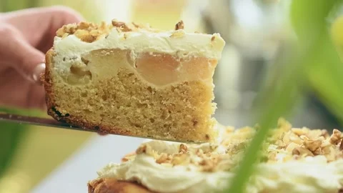 Piece of delicious apple cake. Stock-Footage 162057740