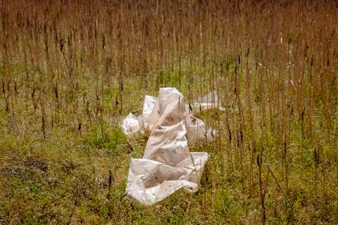 A piece of discarded plastic Stock Photos