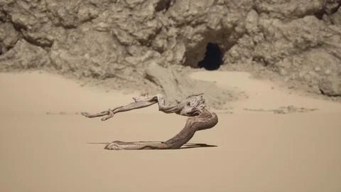 A piece of driftwood in the sand with a cave in the background Stock Illustration