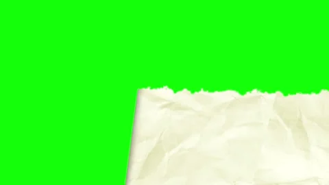 Piece Dynamic with Paper Motion Graphic Overlay Stock Footage 345498554
