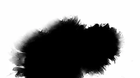 This piece features abstract black ink blots elegantly displayed on a stark Stock Footage 306329863