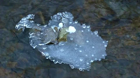 Piece of floating ice in a stream Video stock 262357102