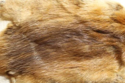 A piece of a fox fur Stock Photos