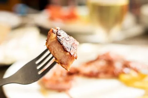 Piece of Fried Meat on a Fork Stock Photos