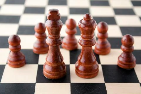 Piece from a game of chess Stock Photos