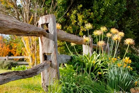 A piece of the garden Foto stock