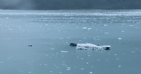 A piece of Glacier Floating. Stock Footage 91848127