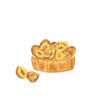A piece of hazelnuts cake with nuts topping, hand drawn  watercolor Stock Illustration