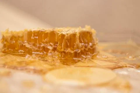 A piece of honey comb close up Foto stock
