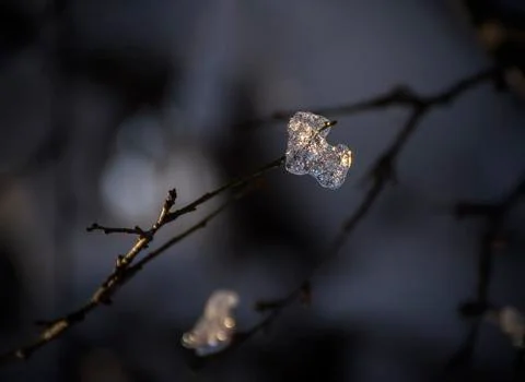 A piece of ice on the top of a wooden twig Stock Photos
