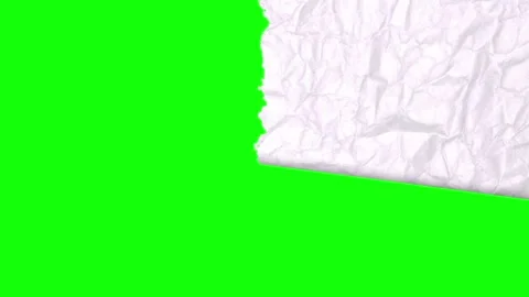 Piece Looping on Green Screen Chroma Key Background 스톡 동영상 346201828